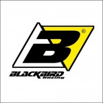 Blackbird